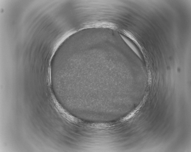 X0000054461079200508191656