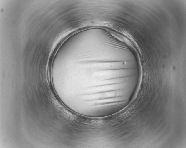 X0000054461080200508191656