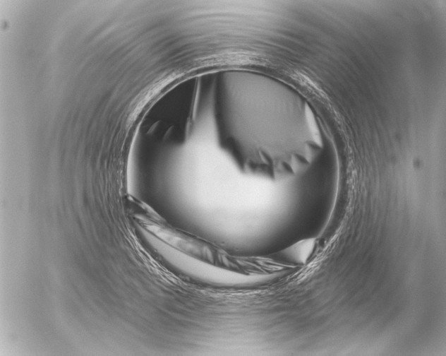 X0000054461081200508191656