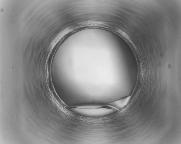 X0000054461082200508191656