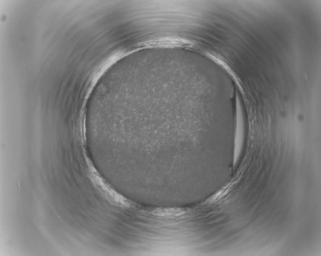 X0000054461083200508191656