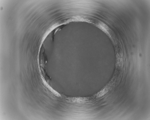 X0000054461084200508191656