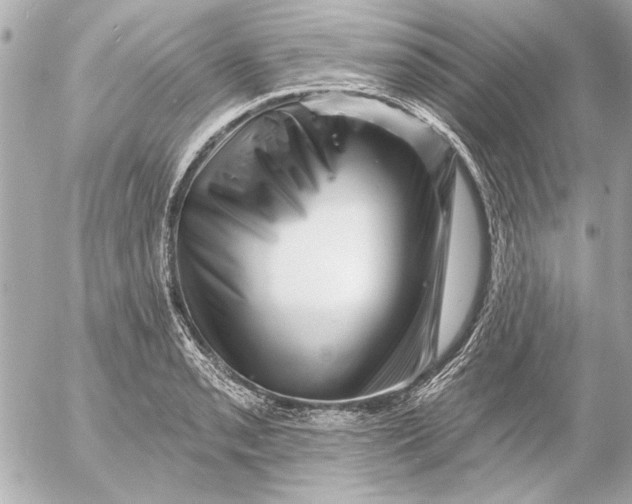 X0000054461085200508191656