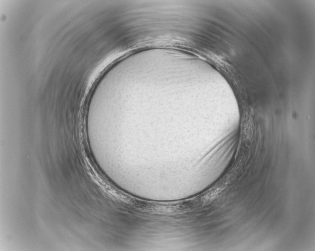 X0000054461086200508191656