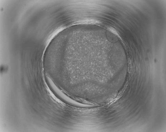 X0000054461087200508191656