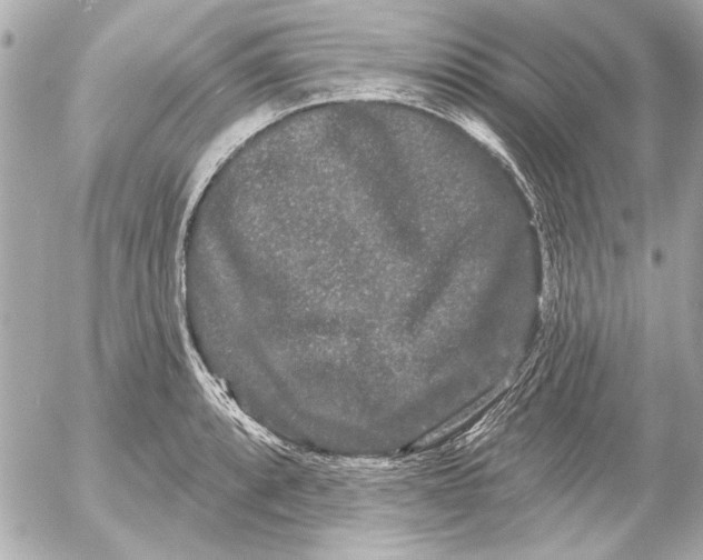 X0000054461088200508191656