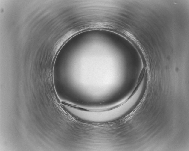 X0000054461089200508191656