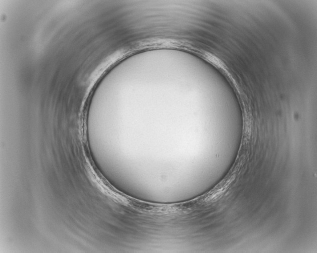 X0000054461090200508191656