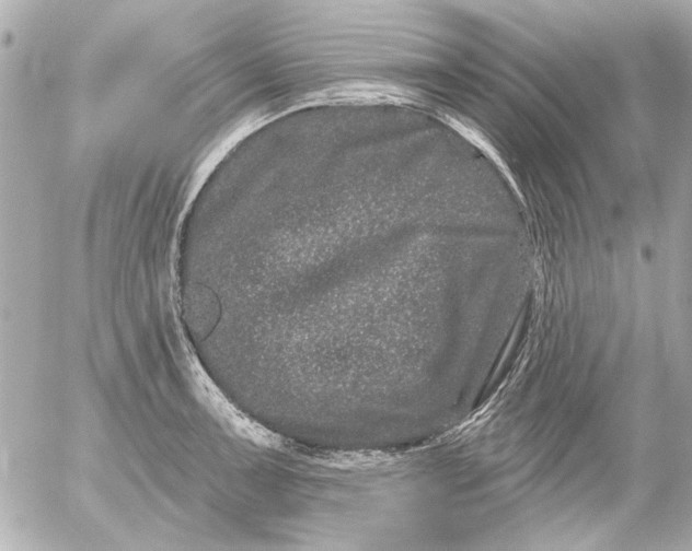 X0000054461091200508191656