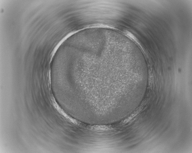 X0000054461092200508191656