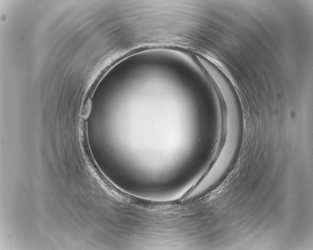 X0000054461093200508191656