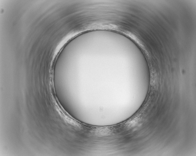 X0000054461094200508191656