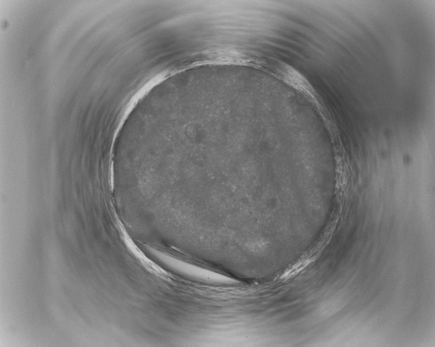 X0000054461095200508191656