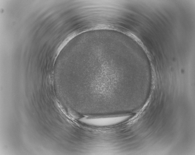 X0000054461097200508191656