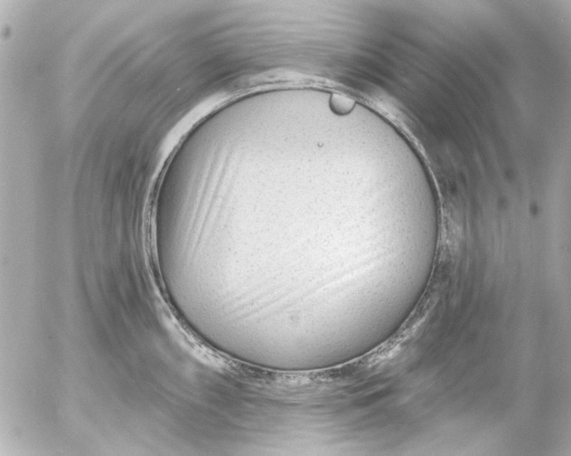 X0000054461098200508191656