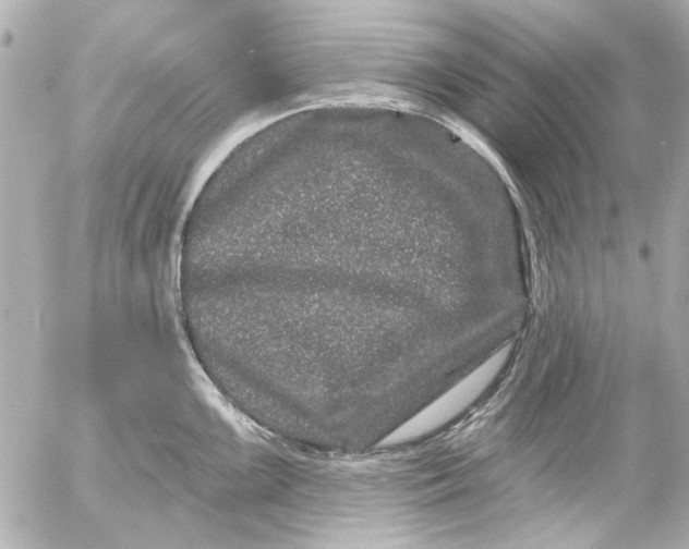 X0000054461099200508191656