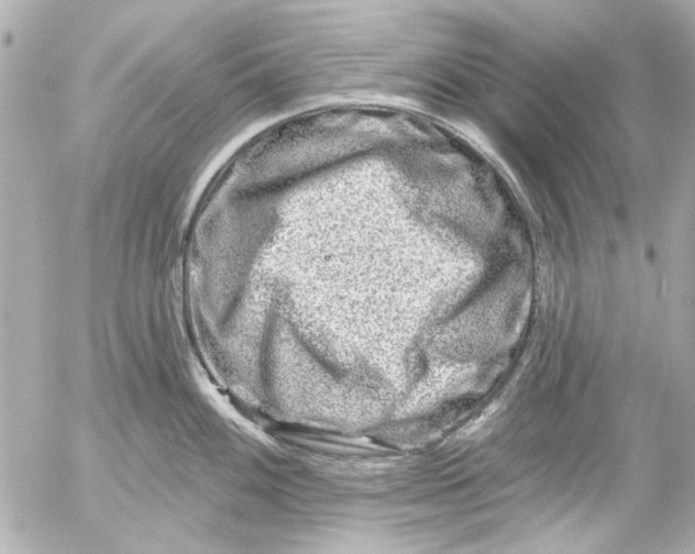 X0000054461100200508191656