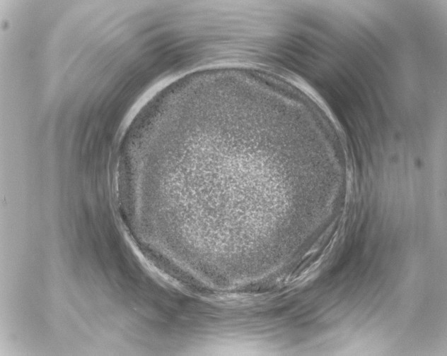 X0000054461101200508191656