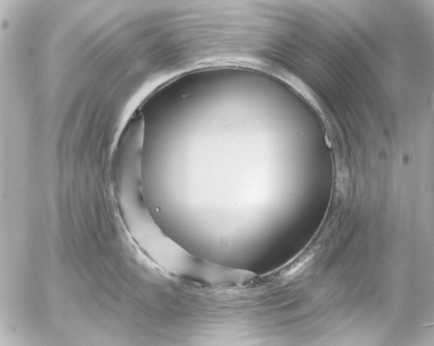 X0000054461102200508191656