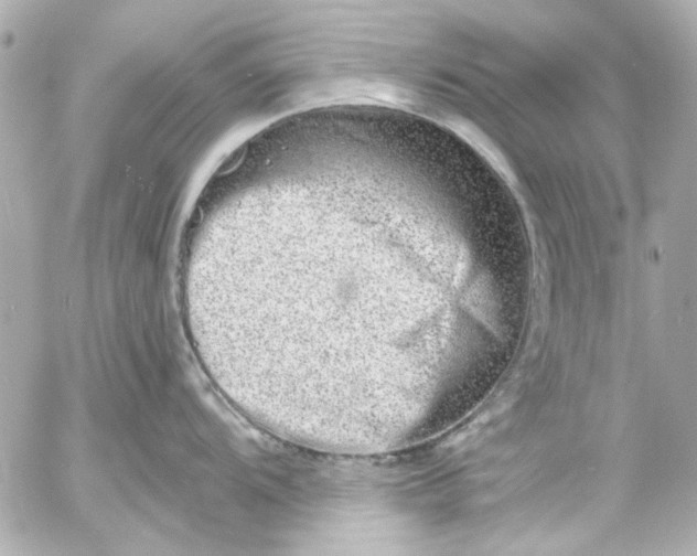 X0000054461104200508191656