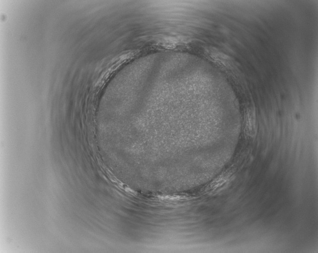 X0000054461105200508191655