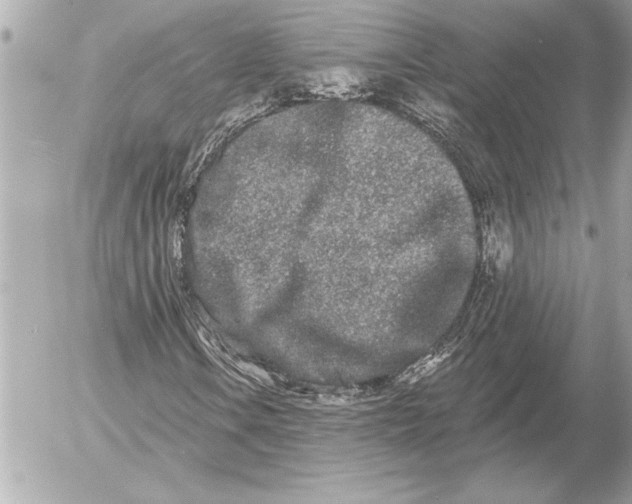 X0000054461106200508191655