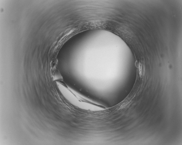 X0000054461107200508191655