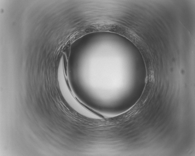 X0000054461108200508191655