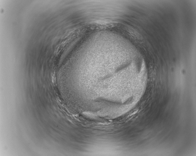 X0000054461109200508191655