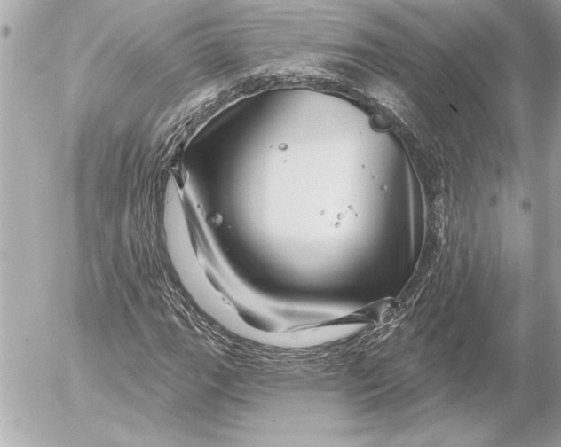 X0000054461111200508191655