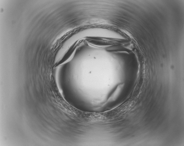 X0000054461112200508191655