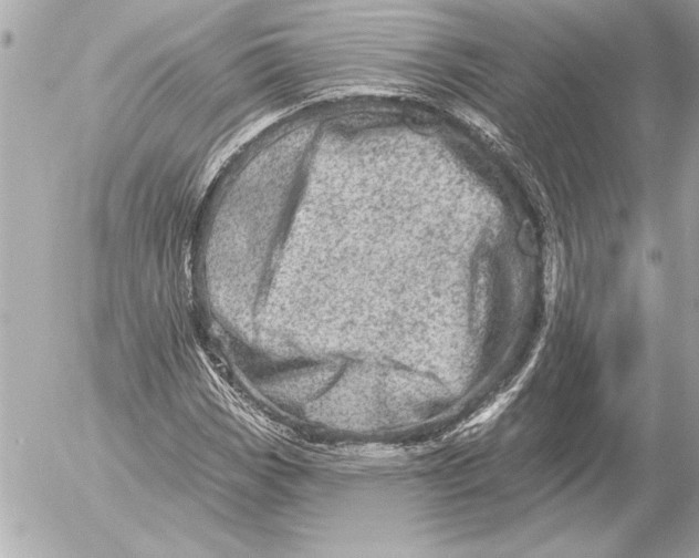 X0000054461113200508191655