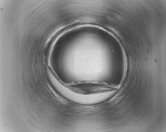 X0000054461115200508191655