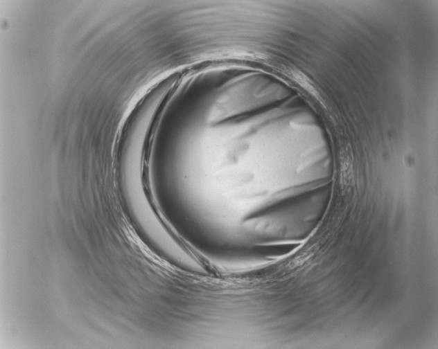 X0000054461116200508191655