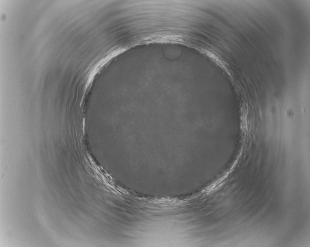 X0000054461117200508191655