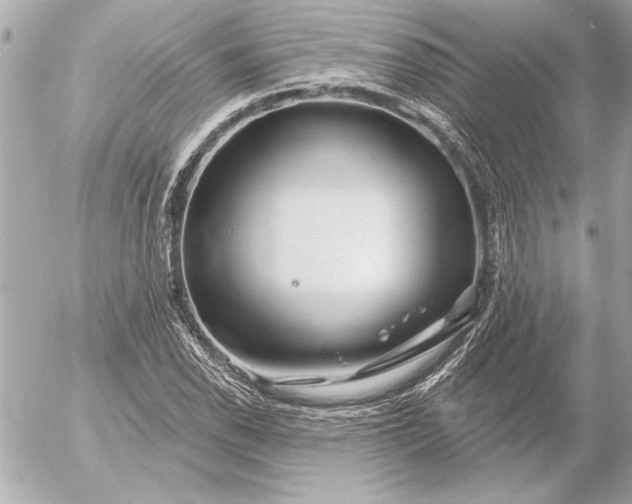 X0000054461118200508191655