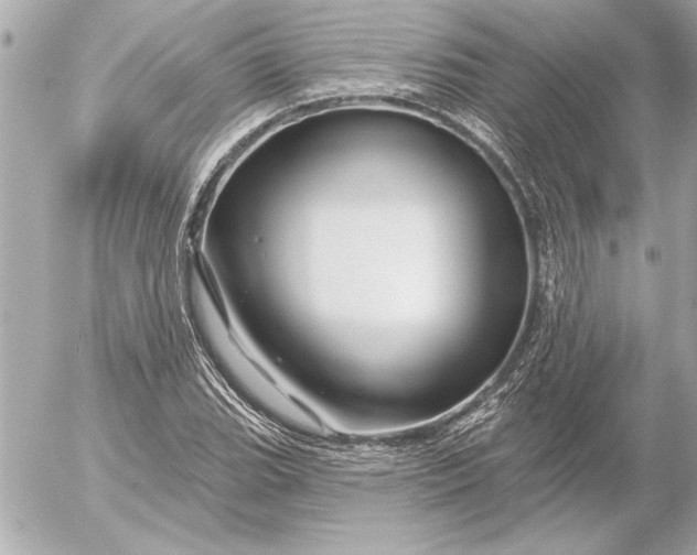 X0000054461119200508191655