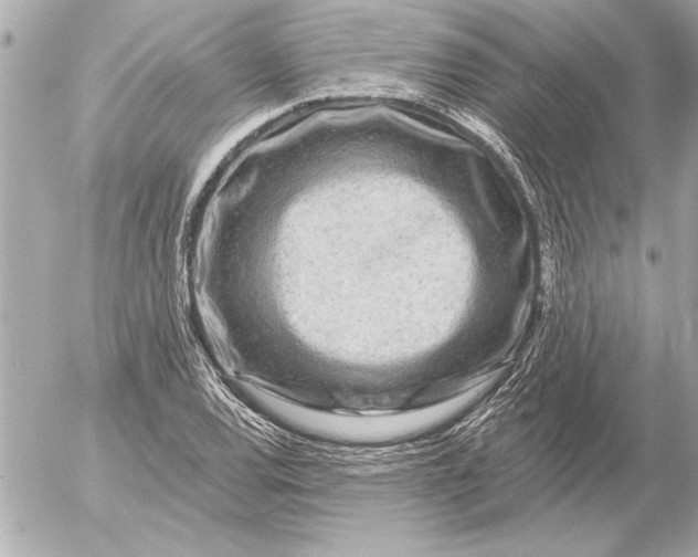 X0000054461120200508191655