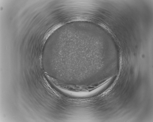 X0000054461121200508191655