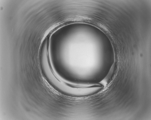 X0000054461122200508191655