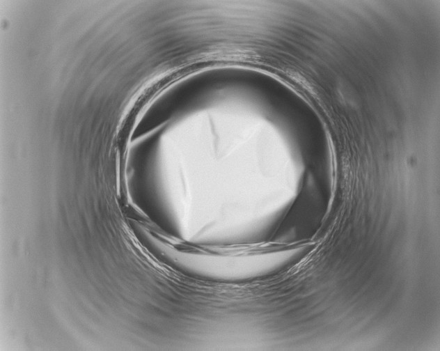 X0000054461123200508191655