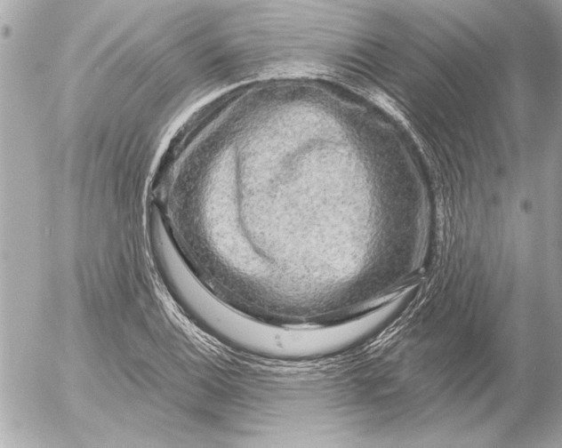 X0000054461124200508191655