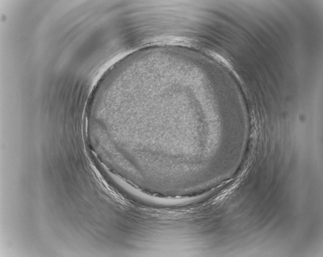 X0000054461125200508191655