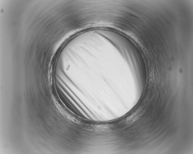 X0000054461126200508191655