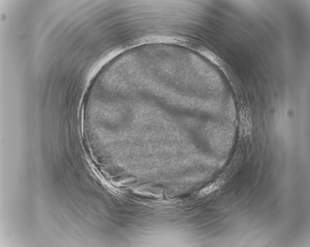 X0000054461127200508191655