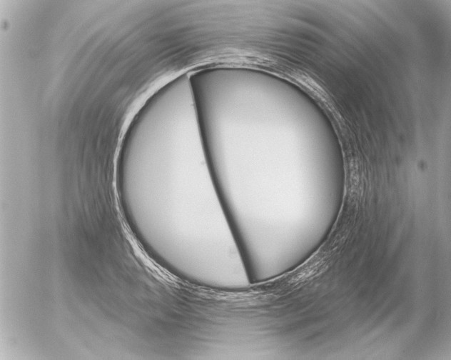 X0000054461128200508191655