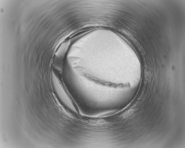 X0000054461129200508191655