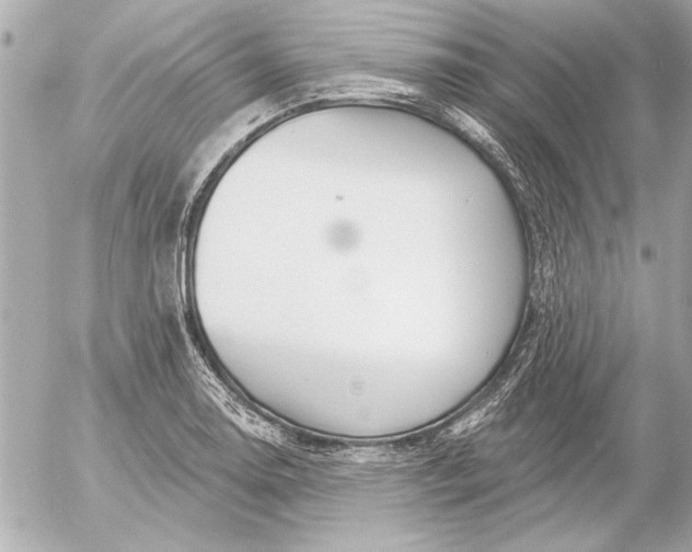 X0000054461130200508191655