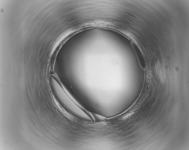 X0000054461131200508191655