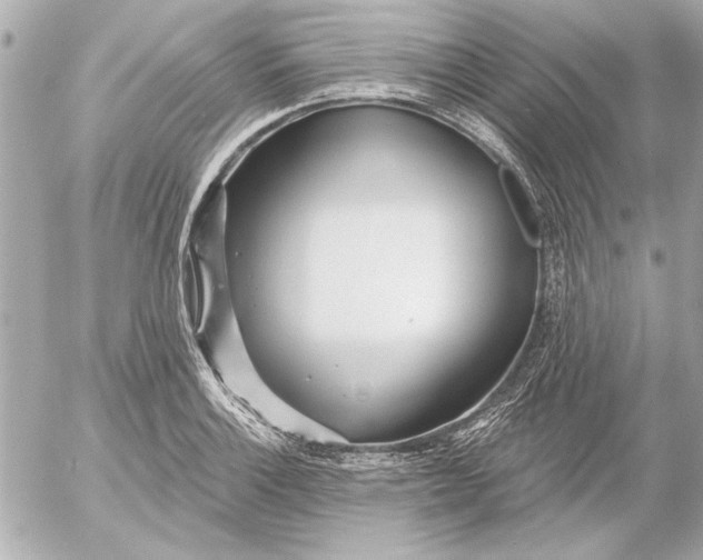 X0000054461132200508191655